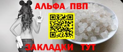 гашик Моздок