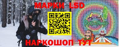 гашик Моздок