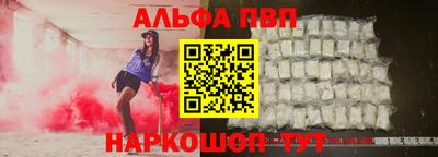 гашик Моздок