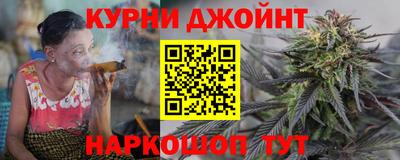 гашик Моздок