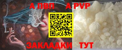 гашик Моздок