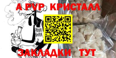 гашик Моздок
