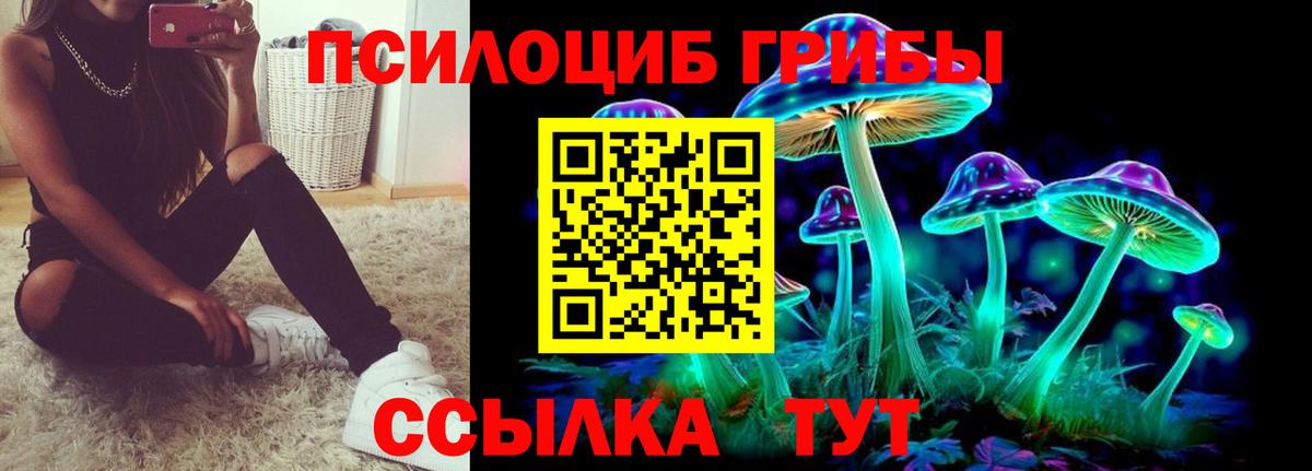 Псилоцибиновые грибы мухоморы  Вход с VPN  Рославль 