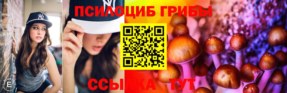 Галлюциногенные грибы Psilocybe Рославль